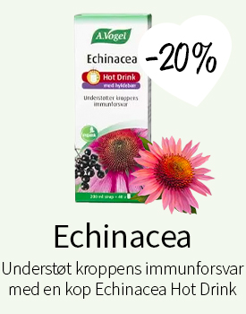 Echinacea Hot Drink - Spar 20%